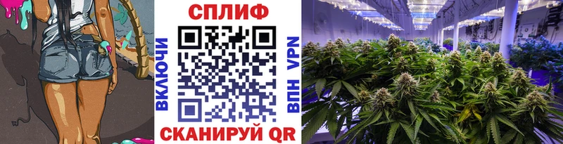 Конопля MAZAR  купить  сайты  Монино 